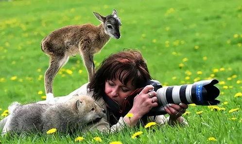 动物和人在线视频